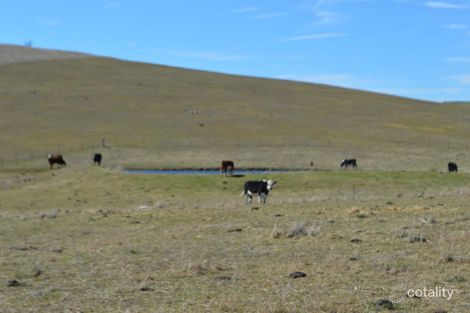 147 Collector Rd, Gunning, NSW 2581