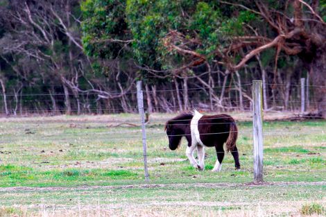 31 Lasseters Rd, Port Welshpool, VIC 3965