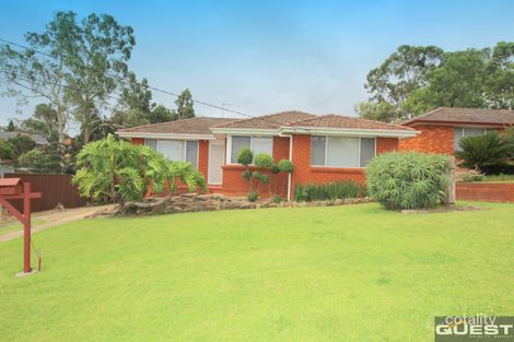 19 Lincoln Rd, Georges Hall, NSW 2198