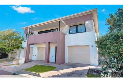 Property photo of 11 Collingrove Circuit Pimpama QLD 4209