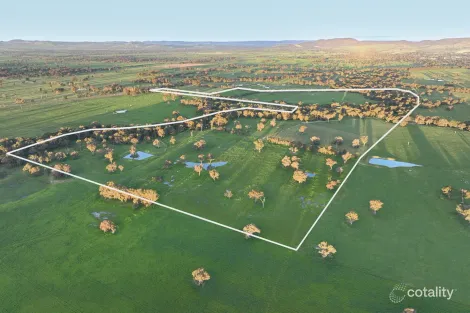 547 Culcairn Holbrook Rd, Holbrook, NSW 2644
