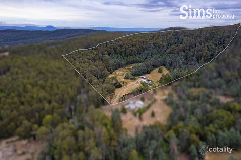 Property photo of 102 Delantys Road Birralee TAS 7303