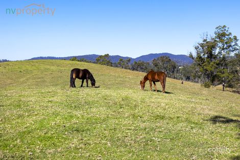 173 Lemans Rd, Yarranbella, NSW 2447