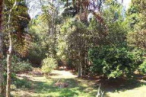 Property photo of 2231 Springbrook Road Springbrook QLD 4213