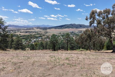 42 Ray Carter Dr, Quirindi, NSW 2343