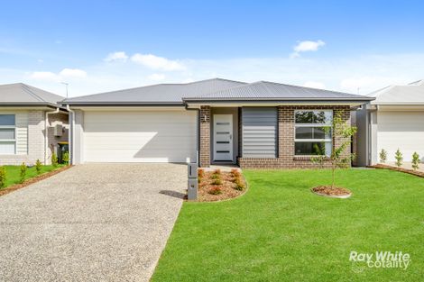 33 John Dr, Collingwood Park, QLD 4301
