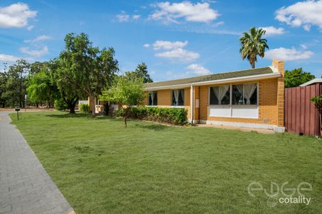 Property photo of 60 Marcian Avenue Elizabeth Downs SA 5113