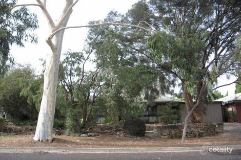 13 Callitris Ave, Surrey Downs, SA 5126