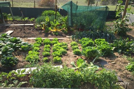 35 Cedar Glen Rd, Darlington, QLD 4285