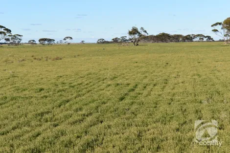 Property photo of LOT 6 Boolgun Road Boolgun SA 5330