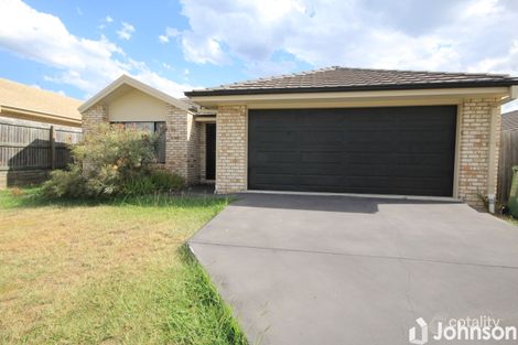 Property photo of 9 Windermere Street Raceview QLD 4305