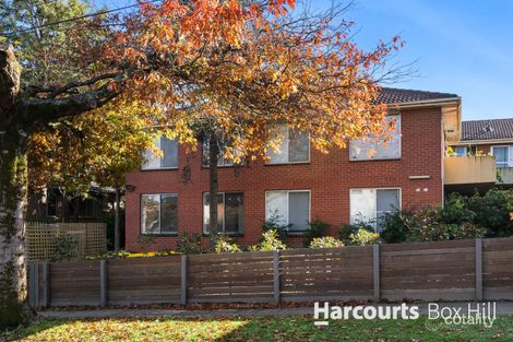 Property photo of 6/25-27 Ashted Road Box Hill VIC 3128