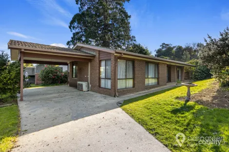 3 Sparkes Ct, Foster, VIC 3960