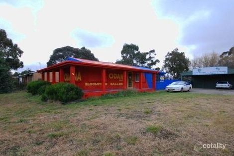 Property photo of 46 Malbon Street Bungendore NSW 2621