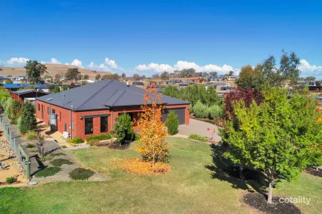 Property photo of 6 Acacia Close Mansfield VIC 3722