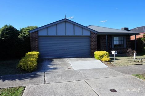 7 Barry Ct, Grovedale, VIC 3216