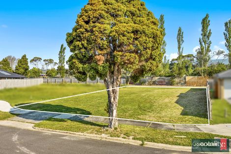 Property photo of 8 Florence Avenue Moe VIC 3825