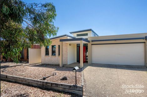 Property photo of 43 Taig Avenue Kialla VIC 3631