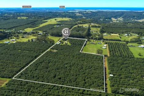 502 Wardell Rd, Dalwood, NSW 2477