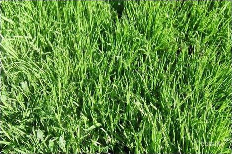 Property photo of 46 McDonald Drive Wandong VIC 3758