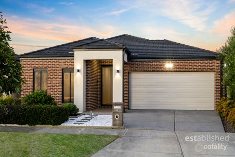 41 Tamworth Gr, Point Cook, VIC 3030
