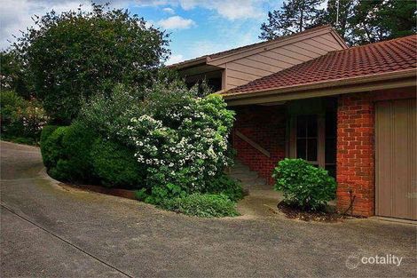 3/20 Nandina St, Forest Hill, VIC 3131