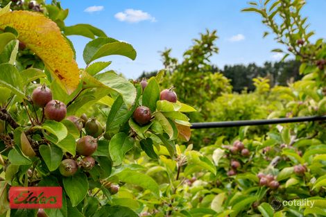 Property photo of 194 Braeside Road Franklin TAS 7113
