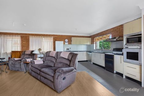 Property photo of 45 Edna Avenue Mount Pritchard NSW 2170