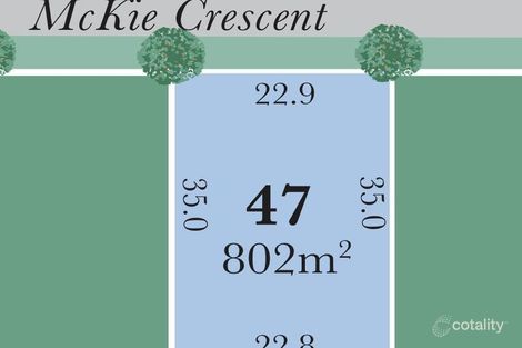 47 Minnippi Bvd, Cannon Hill, QLD 4170