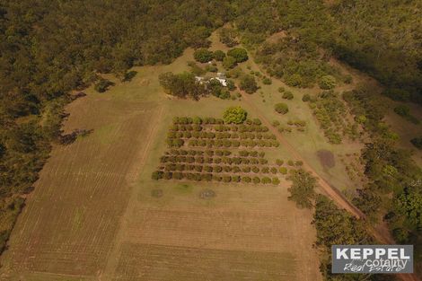 Property photo of 84 Marries Road Coowonga QLD 4702