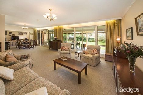 Property photo of 31 Pine Street Brighton East VIC 3187