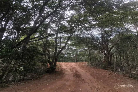 Property photo of 63 Braeside Drive Uki NSW 2484