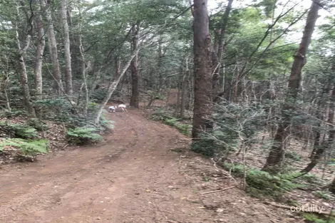 Property photo of 63 Braeside Drive Uki NSW 2484