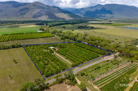 2804 Woodstock Giru Rd, Majors Creek, QLD 4816