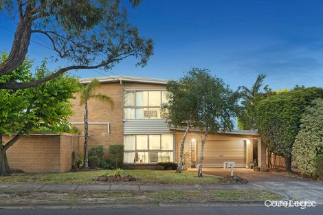 Property photo of 31 Dorothy Street Burwood East VIC 3151