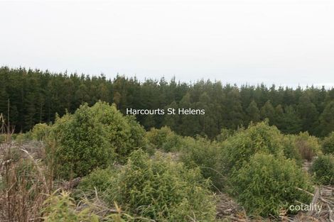 7747008 Peters Rd, Goulds Country, TAS 7216