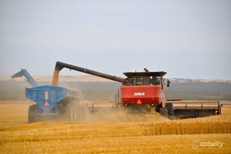 1043 Witera Rd, Colley, SA 5671