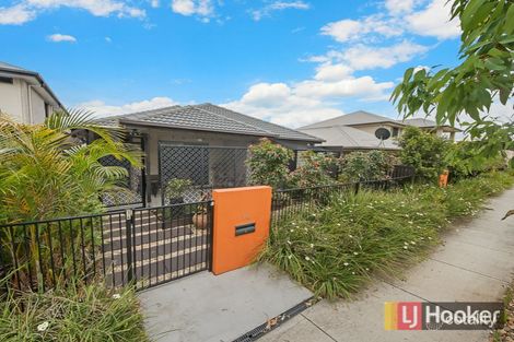 Property photo of 14 Cape Arid Park Way Fitzgibbon QLD 4018