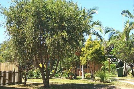 3 Gidgee Ct, Beaconsfield, QLD 4740