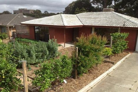 Property photo of 20 Glengyle Avenue Modbury SA 5092