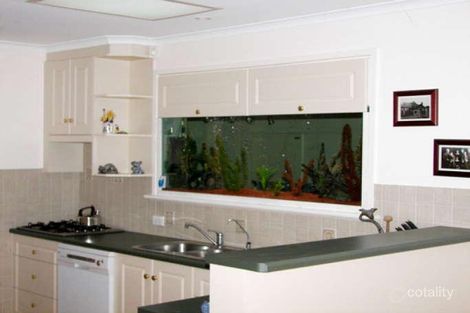 Property photo of 35 Ashley Avenue Ridgehaven SA 5097