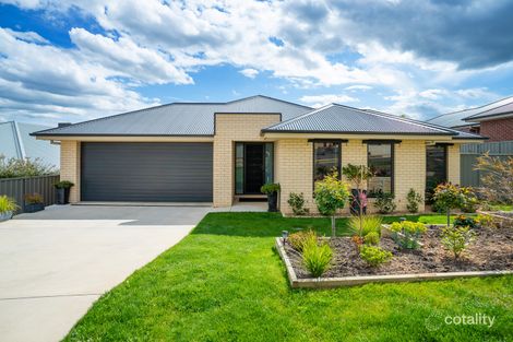 Property photo of 15 Oriole Street Thurgoona NSW 2640