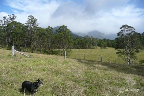 Property photo of 40 Pine Log Road Doon Doon NSW 2484