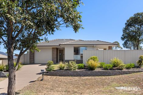16 Ellie Ave, Raworth, NSW 2321