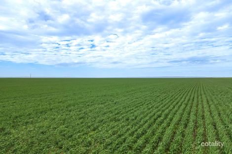 946 Barunga East Rd, Burnsfield, SA 5520