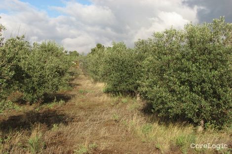 Property photo of 42 Government Road Orroroo SA 5431