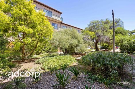 Property photo of 15/22 Broad Street Marden SA 5070