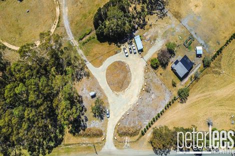 Property photo of 25498 Tasman Highway St Helens TAS 7216