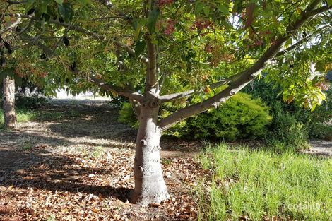 Property photo of 50A Creslin Avenue Ingle Farm SA 5098