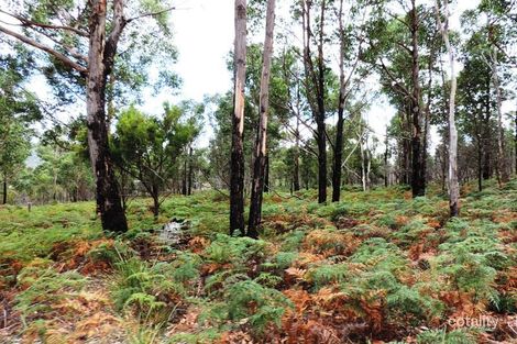 490 Glen Dhu Rd, Molesworth, TAS 7140